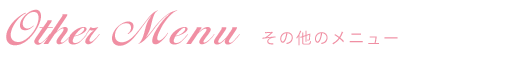 その他のメニュー